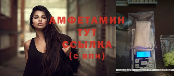 гашик Видное